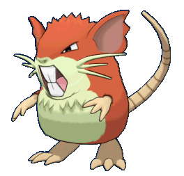 Image du pokemon Rattatac