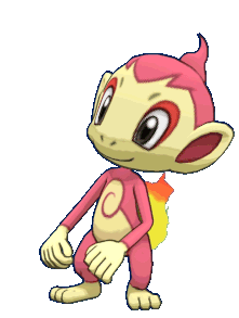 Image du pokemon Chimchar
